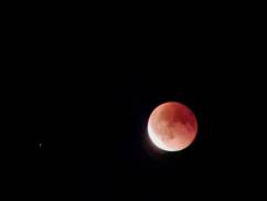 mond1.jpg