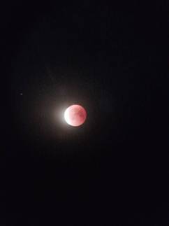 mond2.jpg