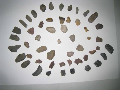 2017-18_Klasse06_Ordnungsprinzipien-erforschen (19).jpg