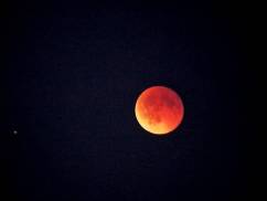 mond6.jpg